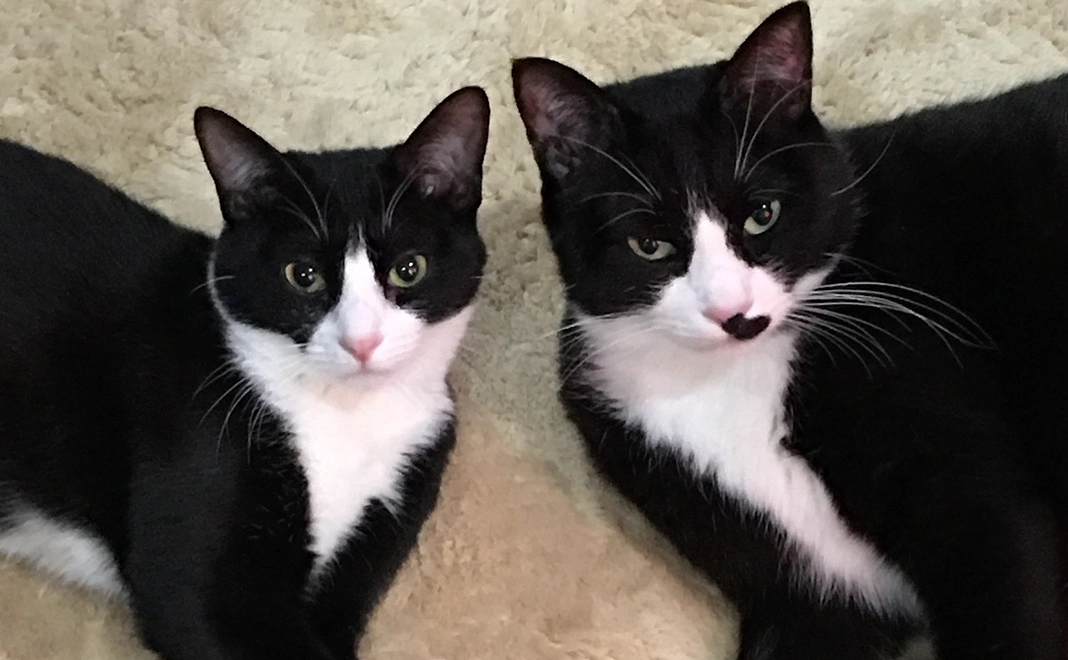 【リターン不要な方向け】10,000円全力応援コース