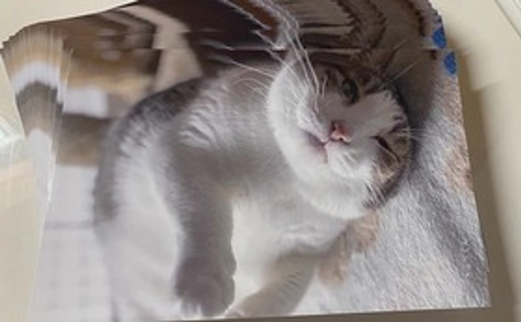 【オリジナルフォトカード＆密着コース】