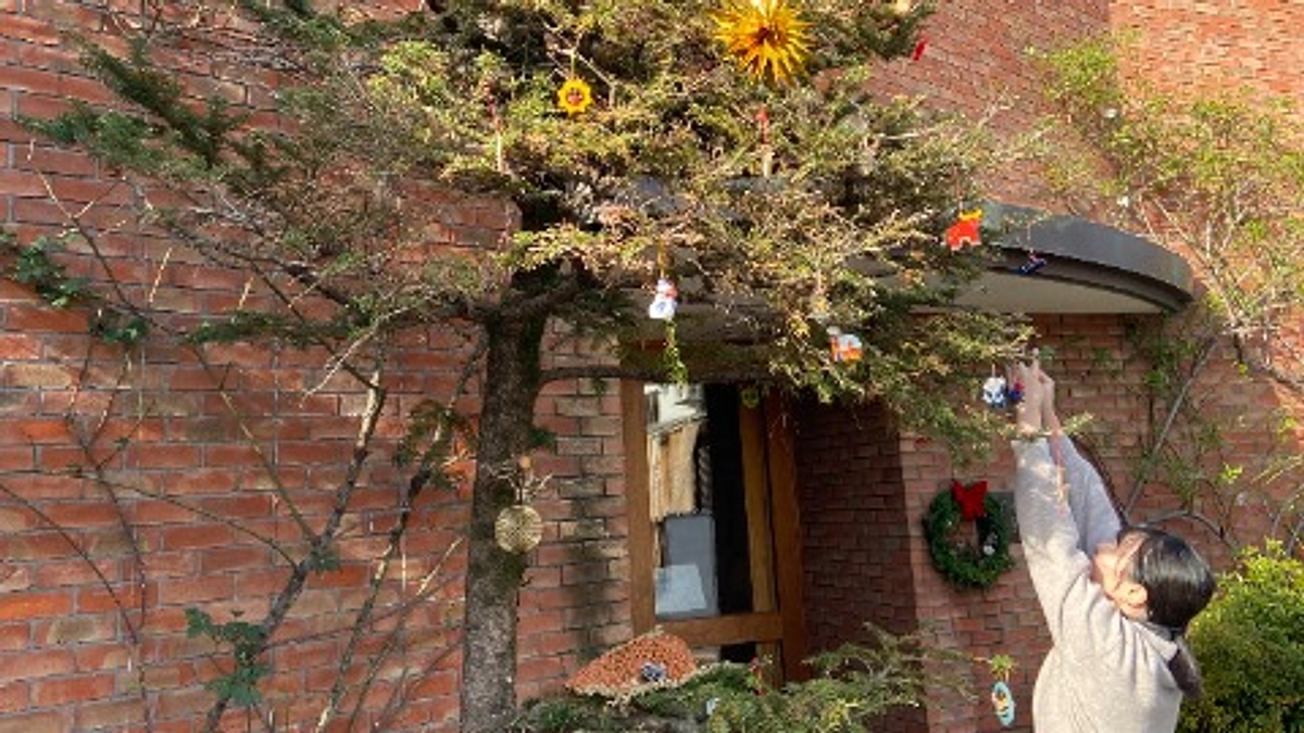 今日はクリスマス会！