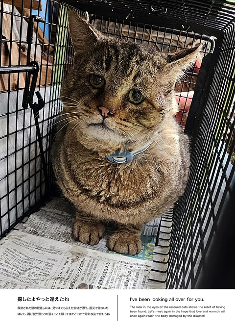 ついに残り２００万円を切りました！最後の大勝負、どうか力を貸してください‼︎