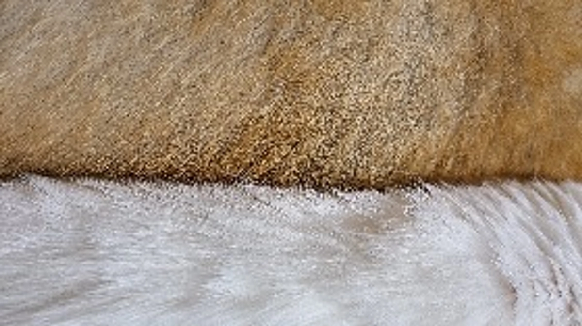 達成率30%…！！あと一押しお願い致します。