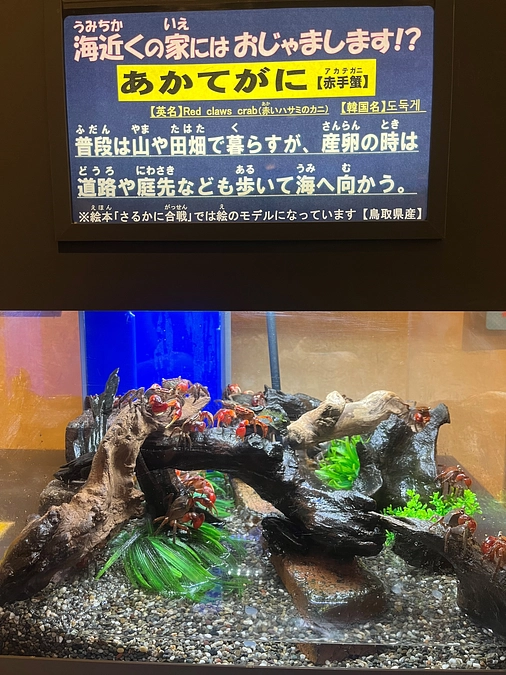 クラウドファンディングを盛りあげ隊！