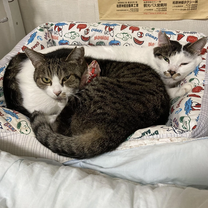 9月も応援ありがとうございました！