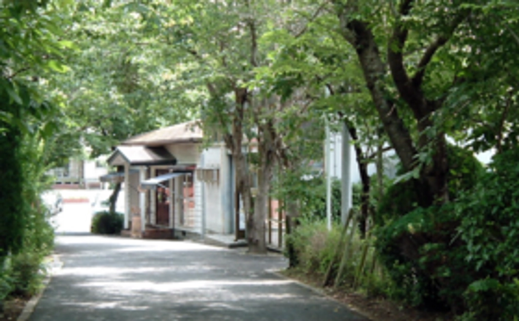 ‖ 感謝の気持ちを込めて