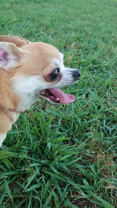 4/14　残り一ヶ月をきりました！