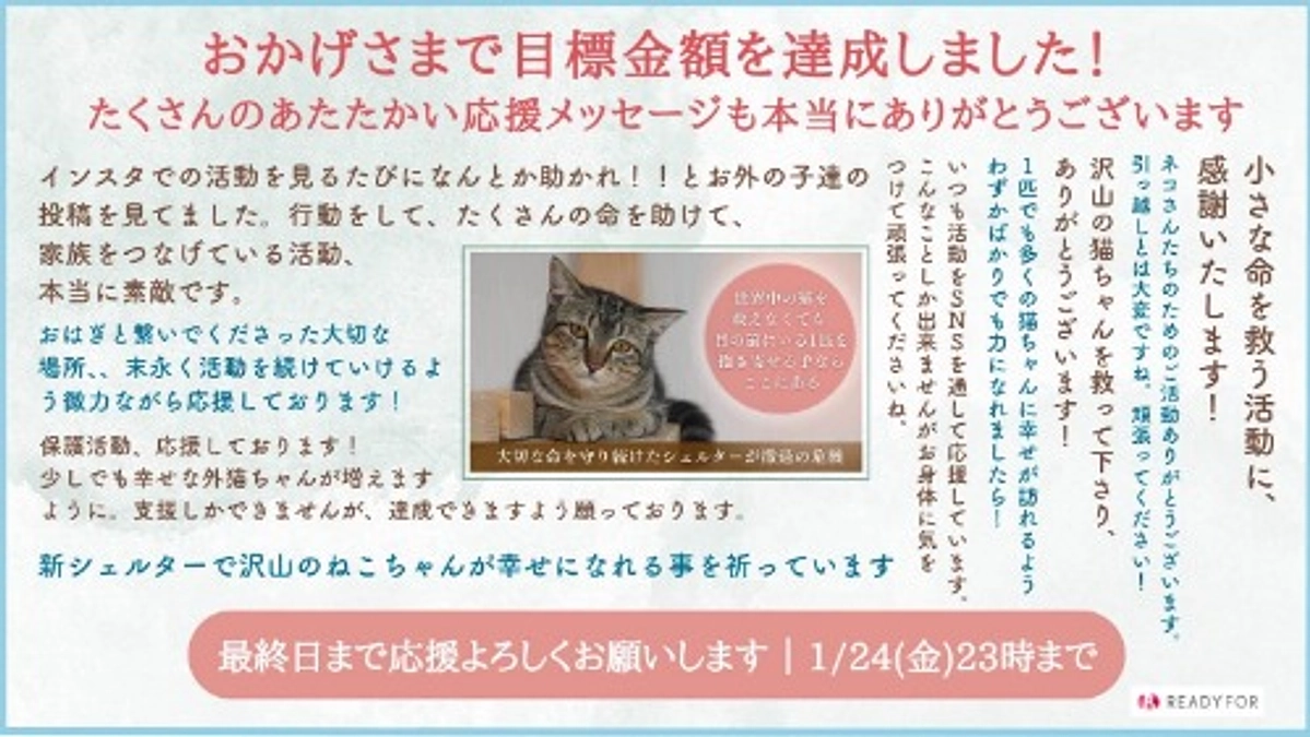【あと4日！】目標達成のお礼と今後について〜最終日まで皆様とともに駆け抜けます〜