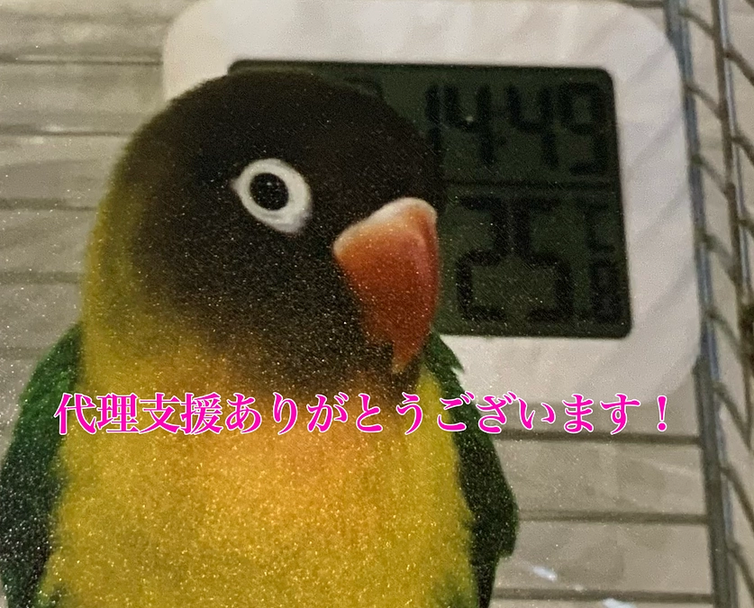 【クラファン活動報告⑨】インターネットでのご支援が難しい方へ（代理支援のご案内）