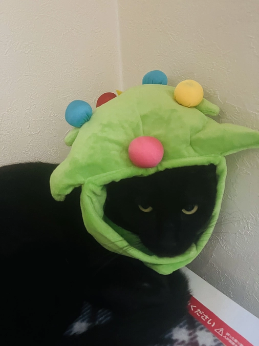 ありがとうございます。