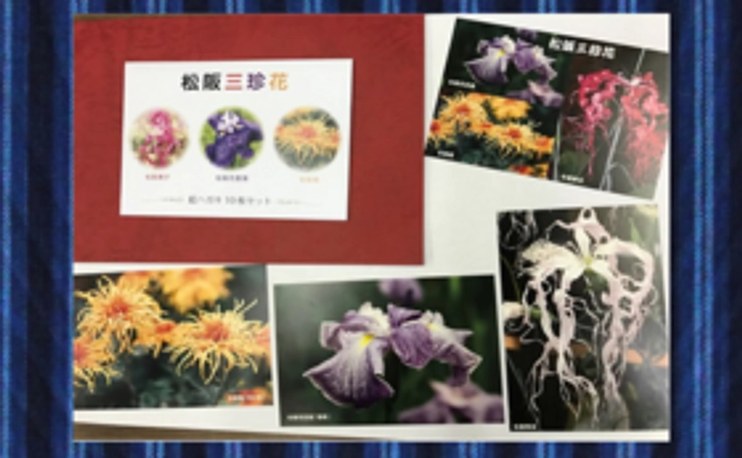 松阪三珍花ポストカードをお送りします。