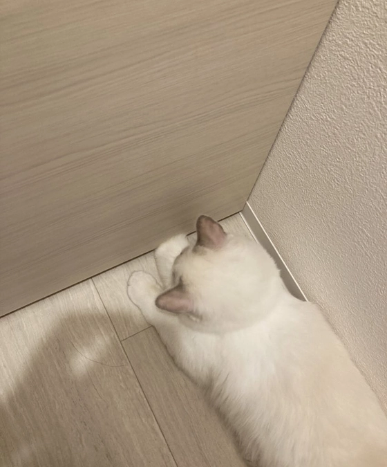 投薬２２日目(2023.4.3)