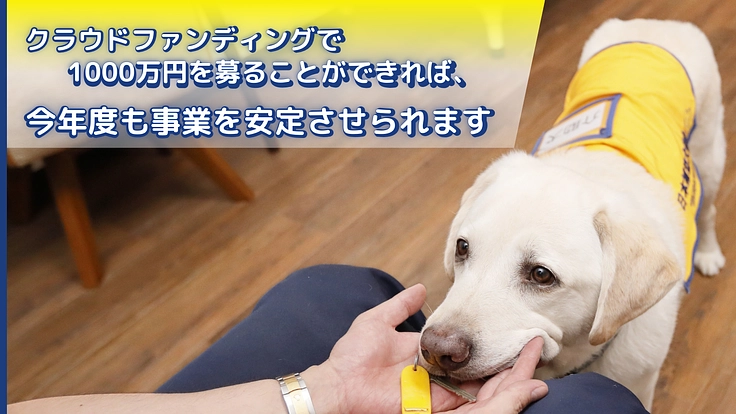 ほじょ犬育成応援プロジェクト2024｜補助犬が当たり前にいる社会へ 3枚目