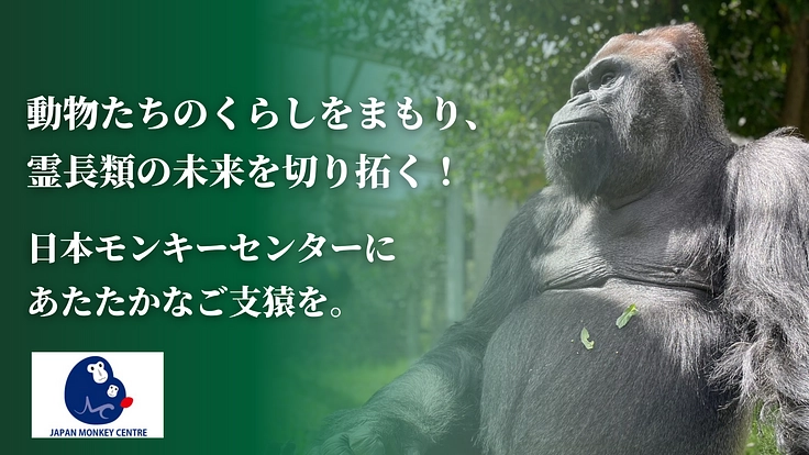 日本モンキーセンター｜動物たちのくらしをまもり、未来へつなぐ！