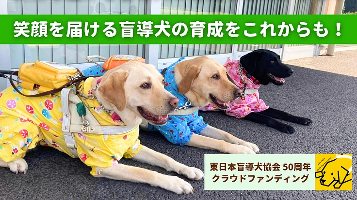 東日本盲導犬協会50周年｜視覚障がい者を支える盲導犬事業にご支援を