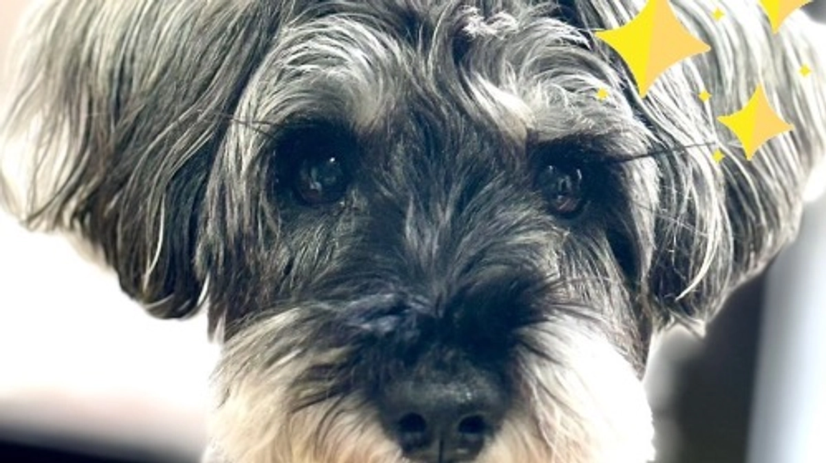 達成のご報告です。