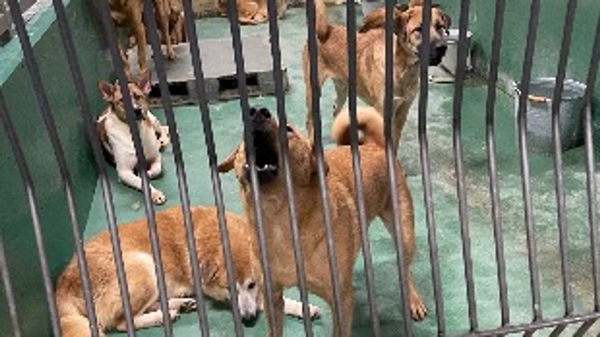 提出と幸せなお裾分け。