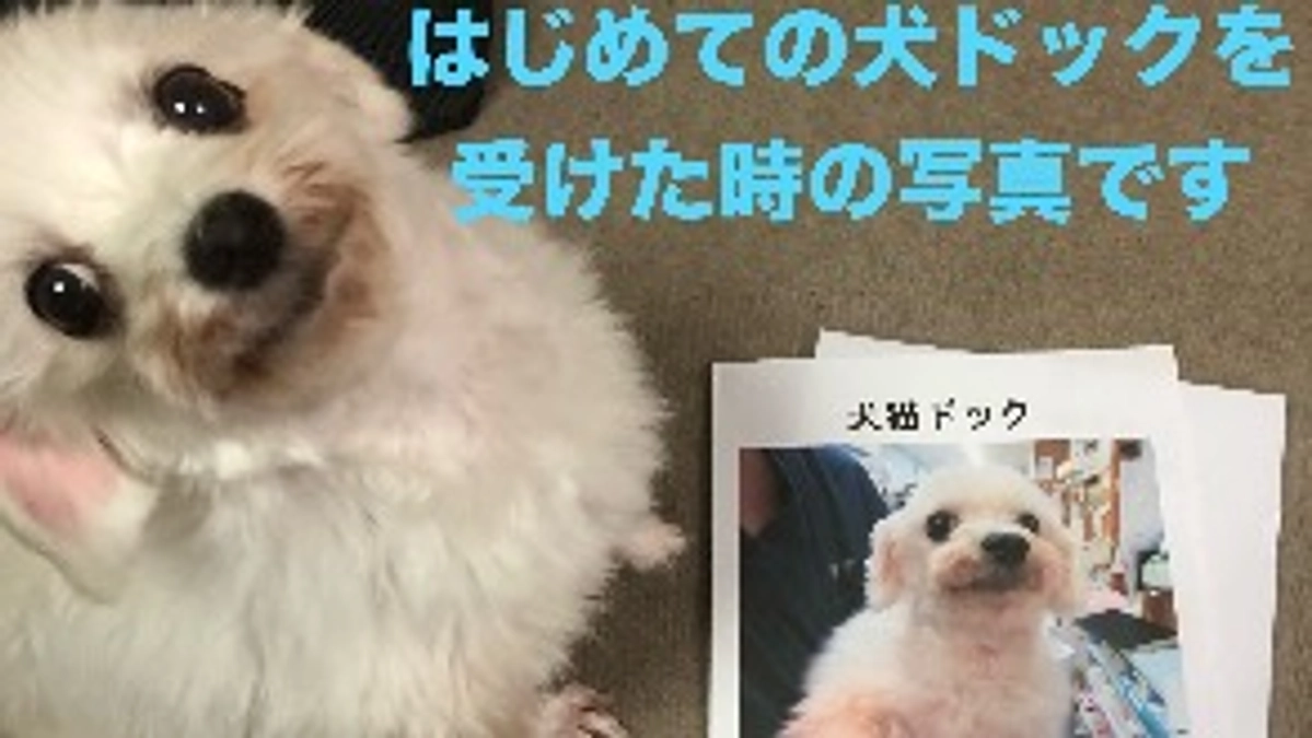 代理支援のご報告です📝