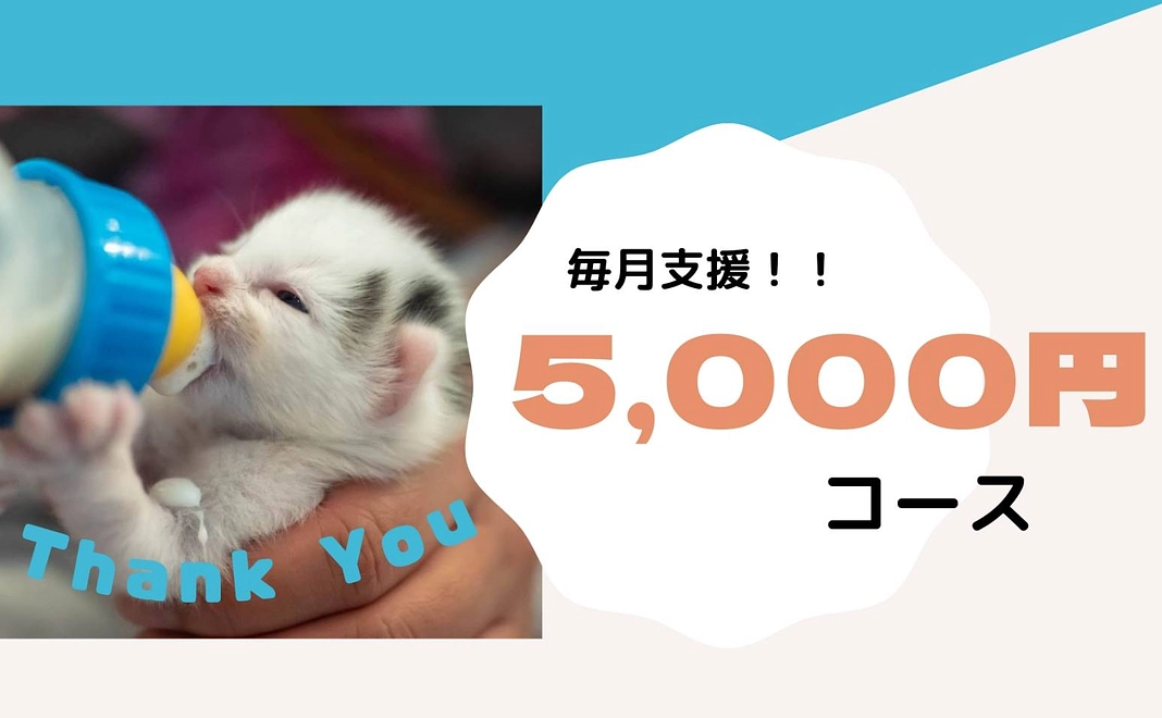 1回分のマイクロチップと駆虫代になります！