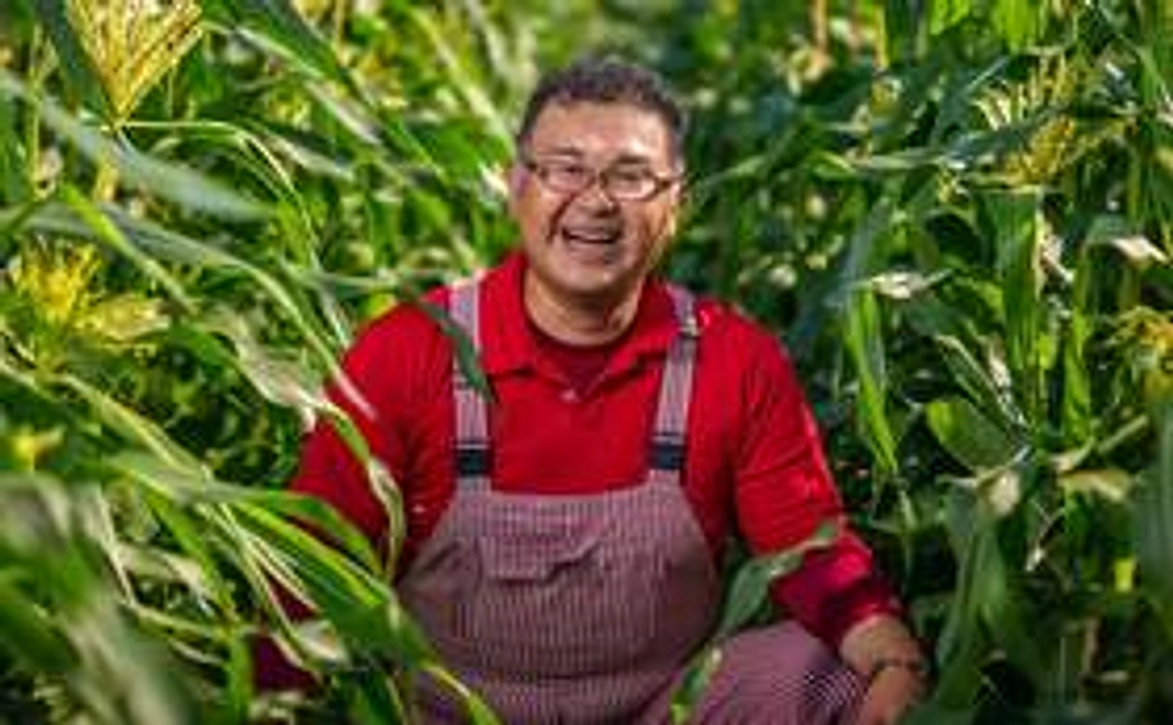 全額支援で応援コース2 トウモロコシ農家の卵たちを応援+ゆめのたねファーム専用ページへご招待コース