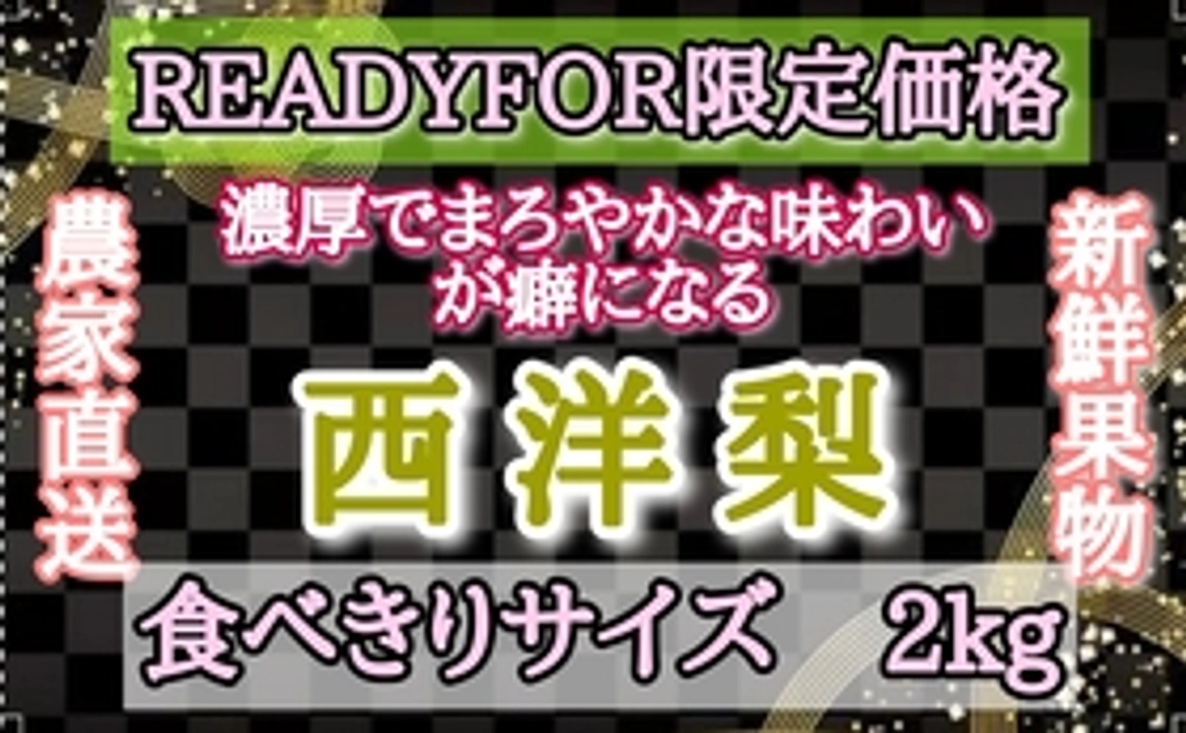 洋梨（ラ・フランス）【食べきりサイズ　2kg】