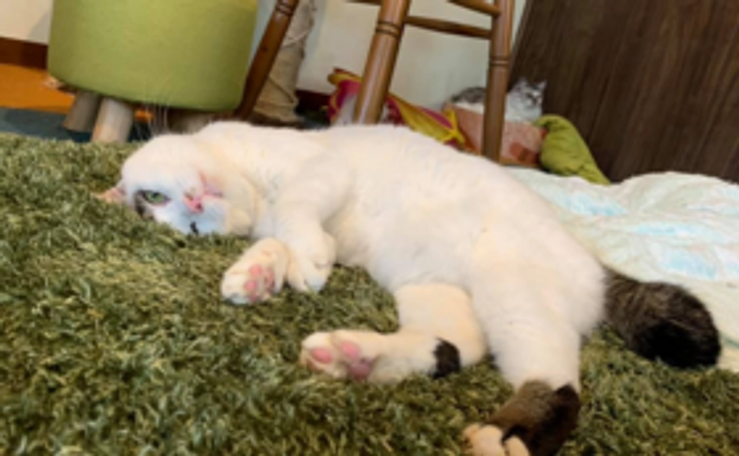 動物処NOGにお名前ご記載！