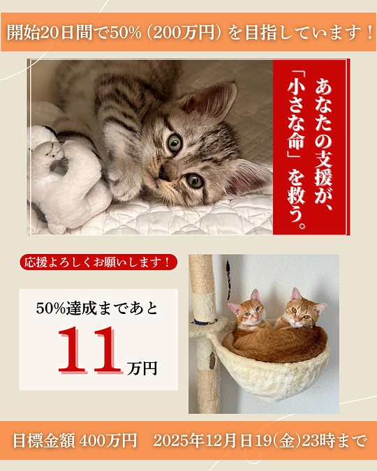 🙇‍♀️第二関門突破まで、あと少し、もう少し💦