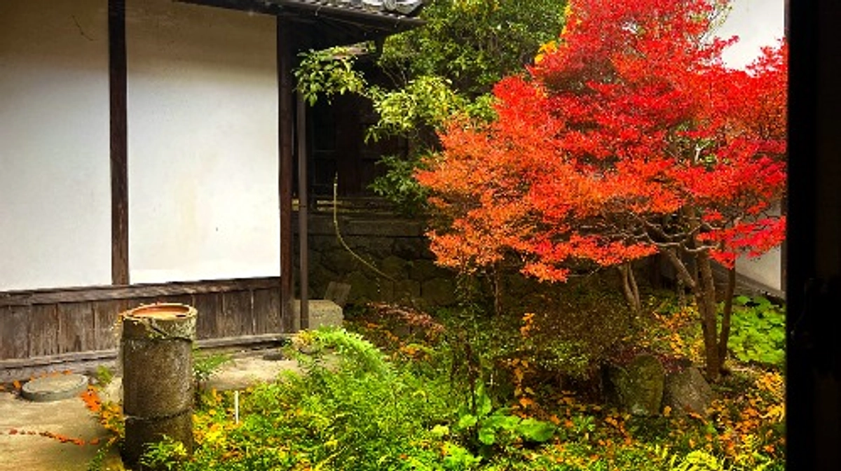 アーティスト会場下見｜郡司ぺギオ幸夫氏&中村恭子氏