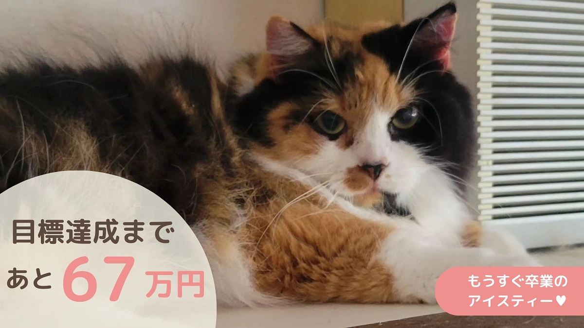 あと28時間！達成まであと67万円です！