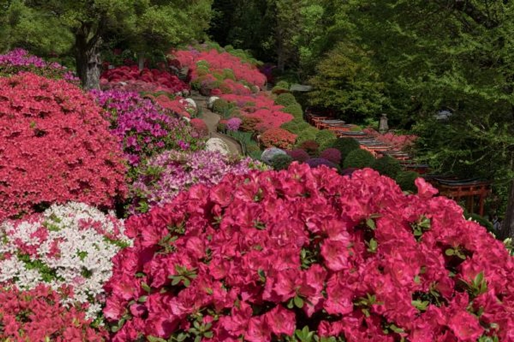 リターンのご紹介①　アンケートでご希望をいただいたもの