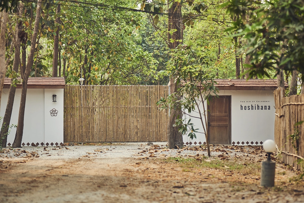 開始から1週間が経ちました。 One Week Into the Project.