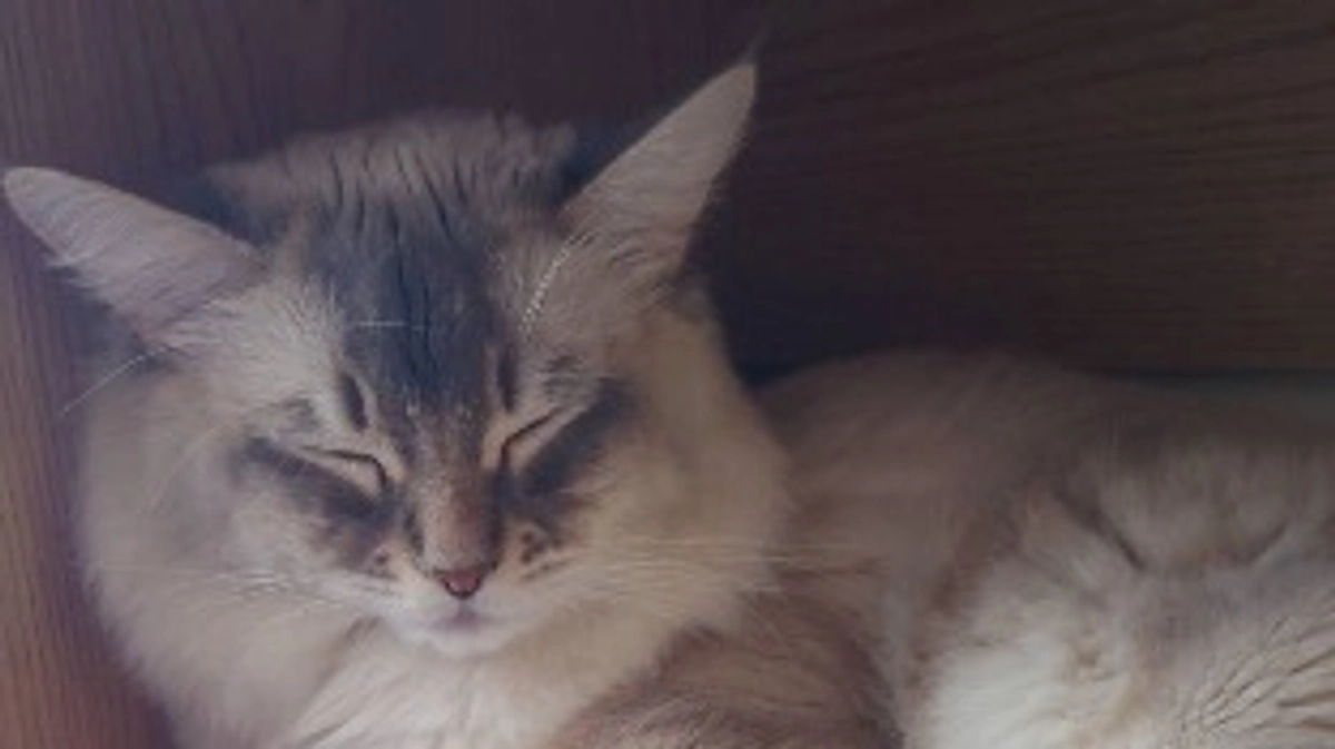 6月16日、病院に行きました。