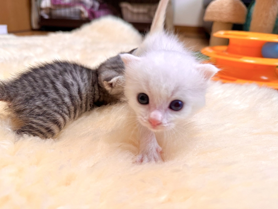 今年一番難しかった子は！