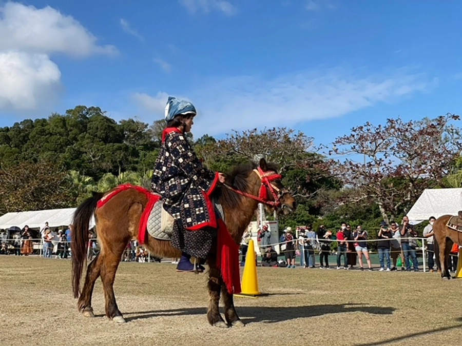 ンマハラシ―に出場してみて！　後編