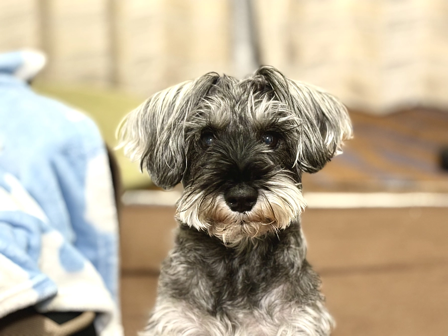 本日からスタートです。