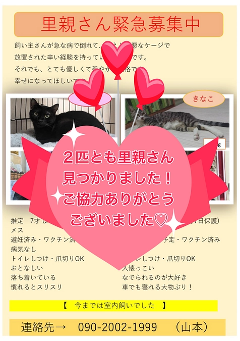 猫ちゃん達の里親さんが決まりました🐈