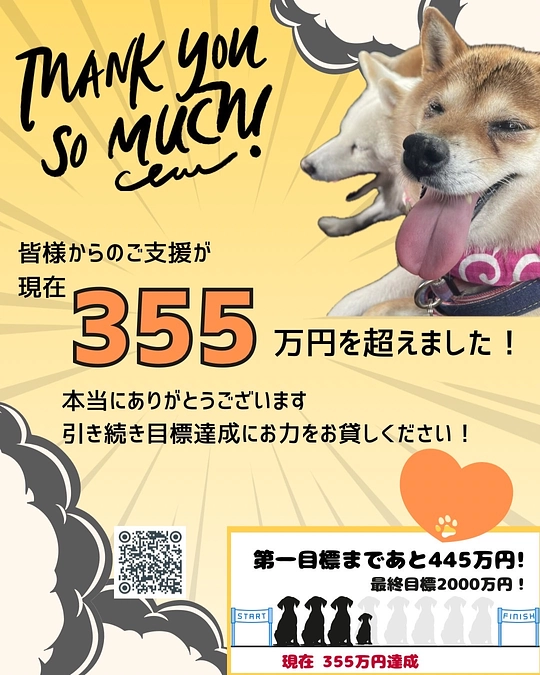 【400万まで、あと30万】飼育放棄に至るまで