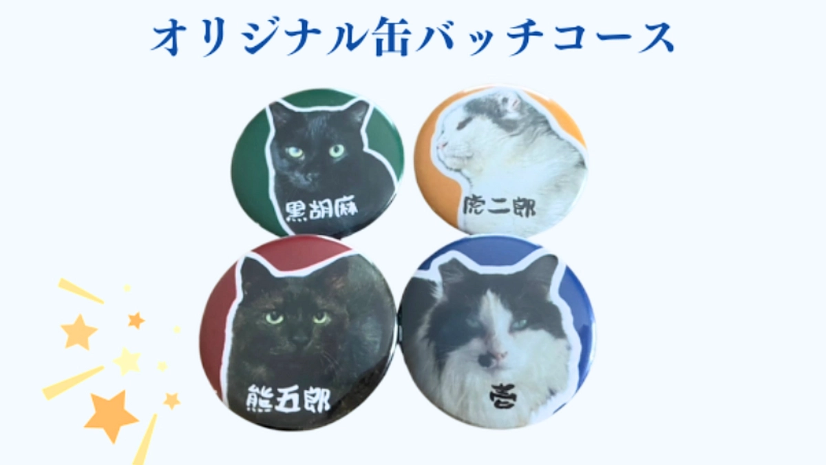 【猫たちが安全に暮らすためのネクストゴールへ！】リターンのご紹介　〜こころ星オリジナル缶バッチ〜