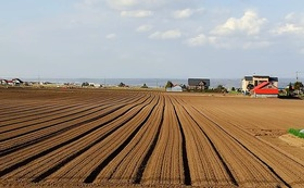 研修報告メール