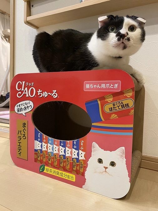 お久しぶりです！