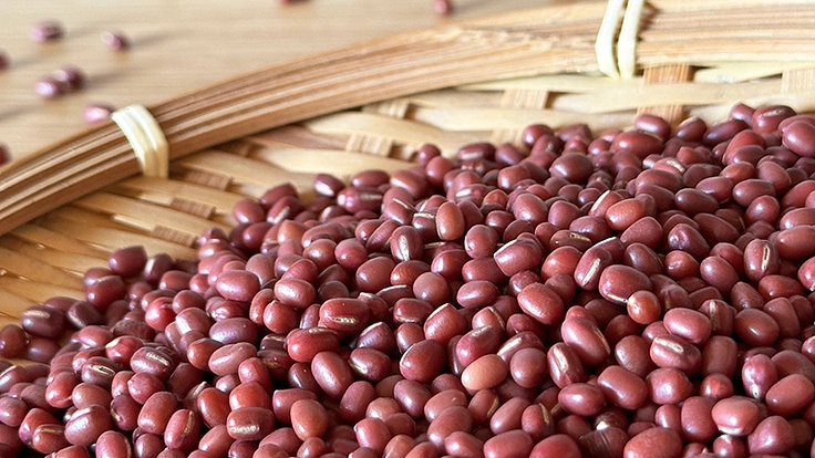 鹿児島の地小豆を復活させて、地元農業とスイーツを盛り上げたい！