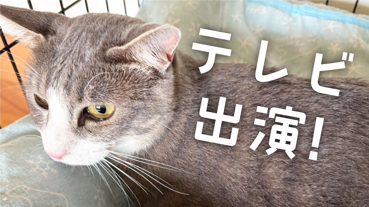 【テレビ出演】と【新入生】のご報告！