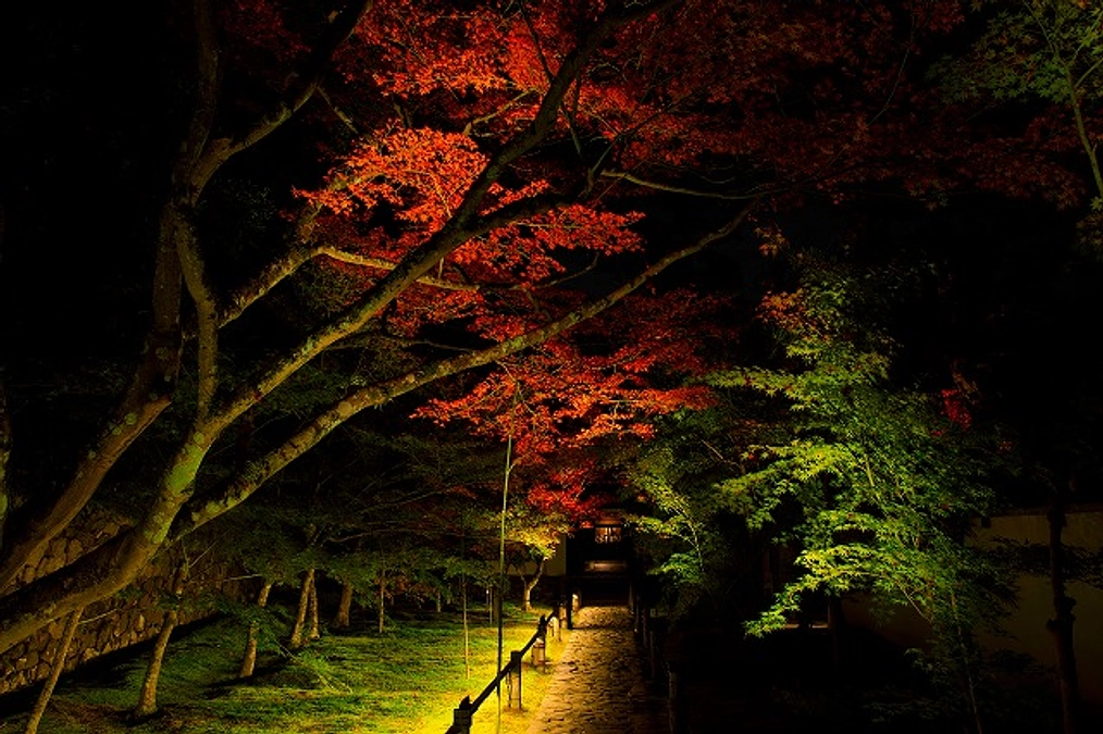 50％近くまで･･･来ました。