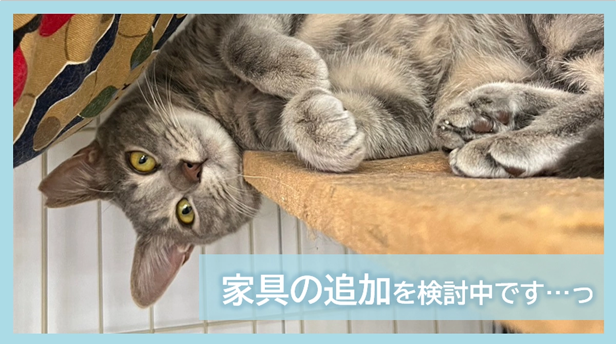 家具の追加を検討中です…っ