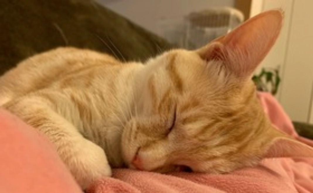 ララ写真コース(1000円リターンあり)