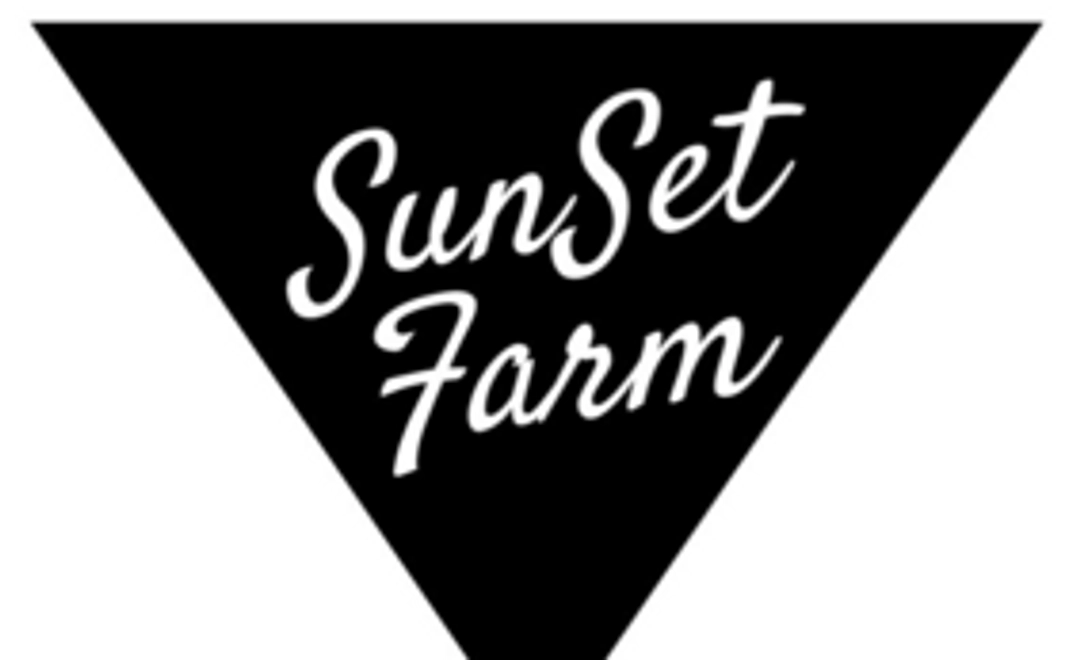 ドローン動画撮影　体験プラン