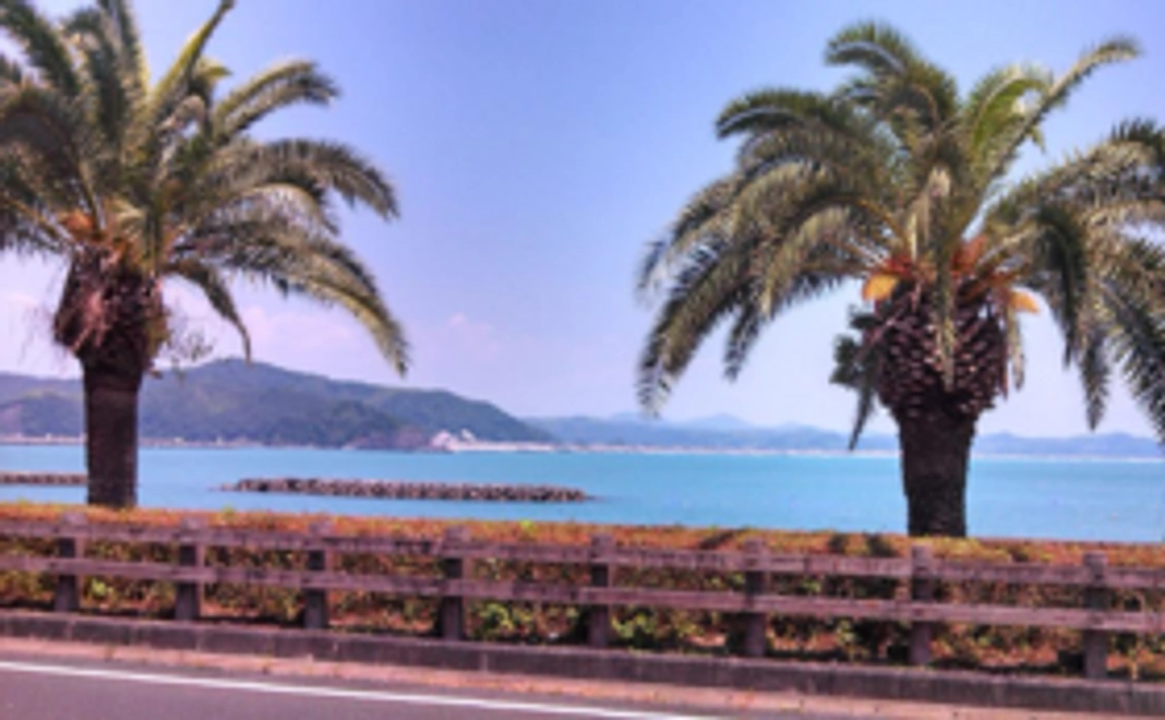 宇佐でお待ちしております！ペア宿泊券