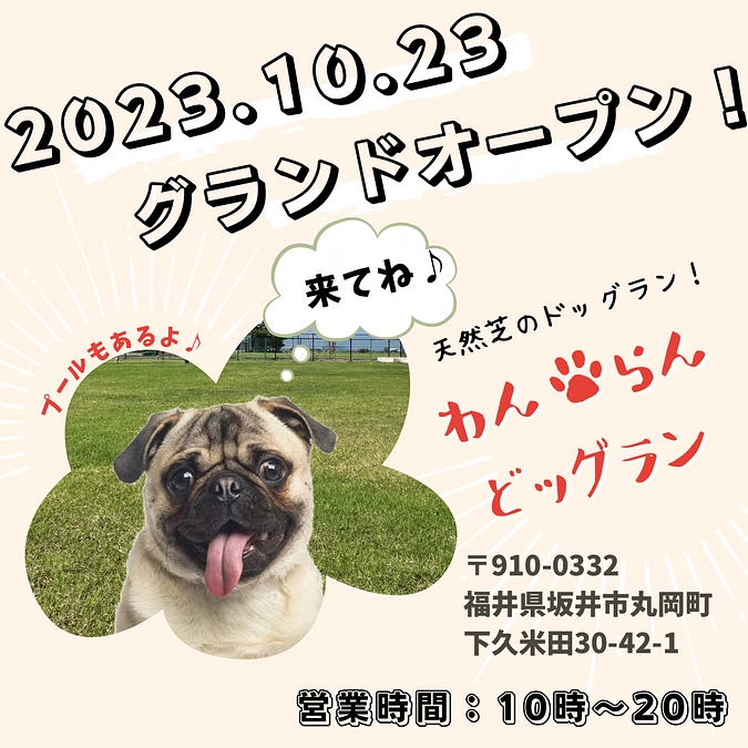 ドッグランのグランドオープンのお知らせ