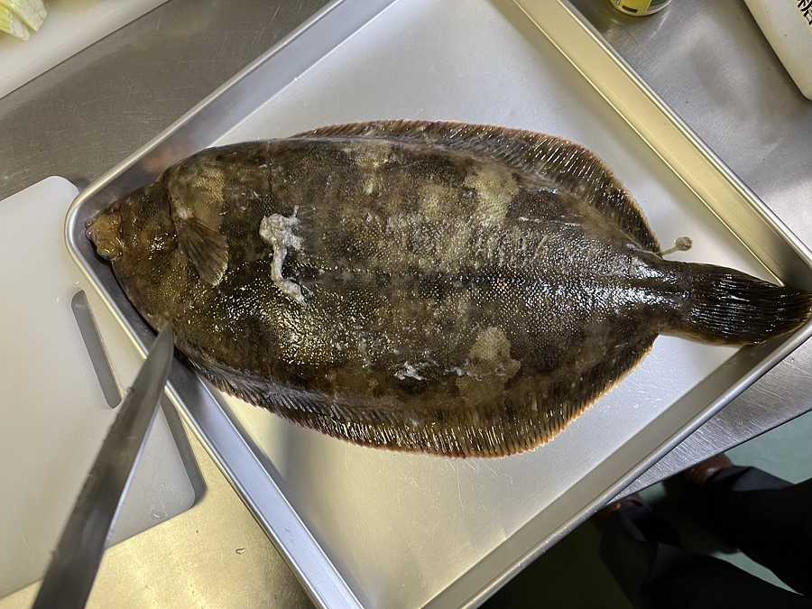 昆布森調査報告