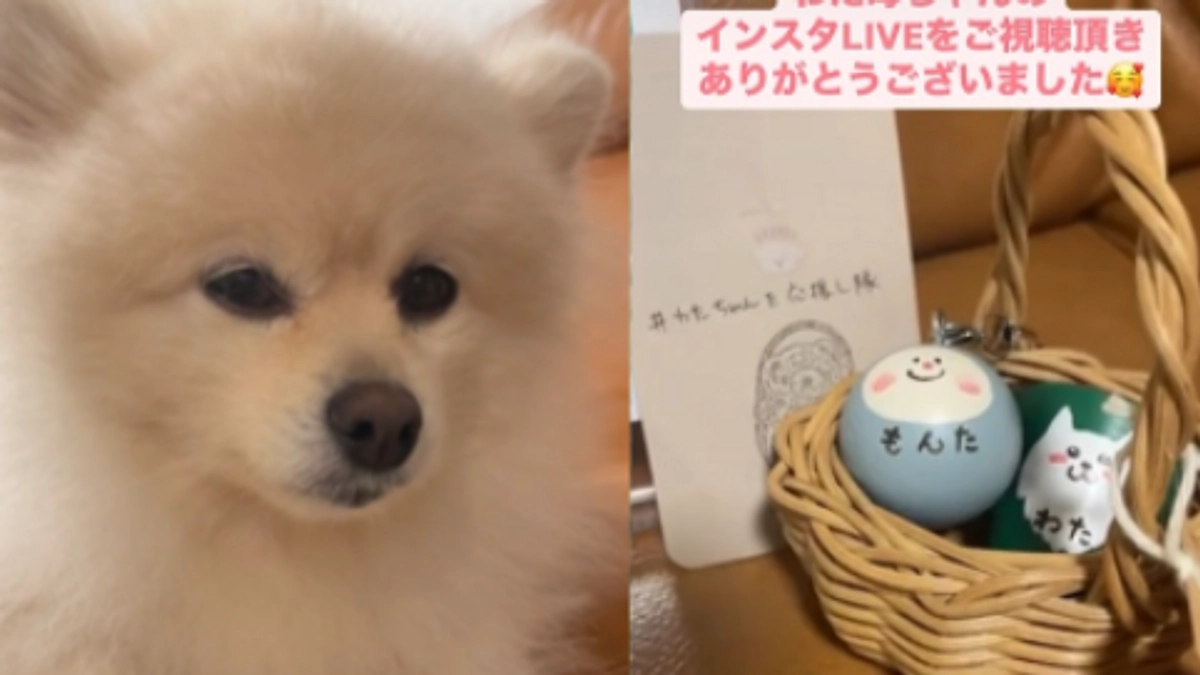 公開３３日目（残り６日）