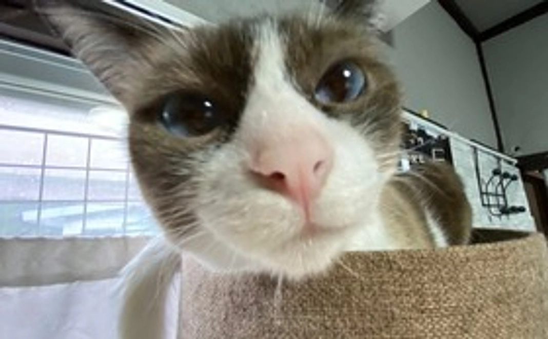 【リターン不要】5,000円コース