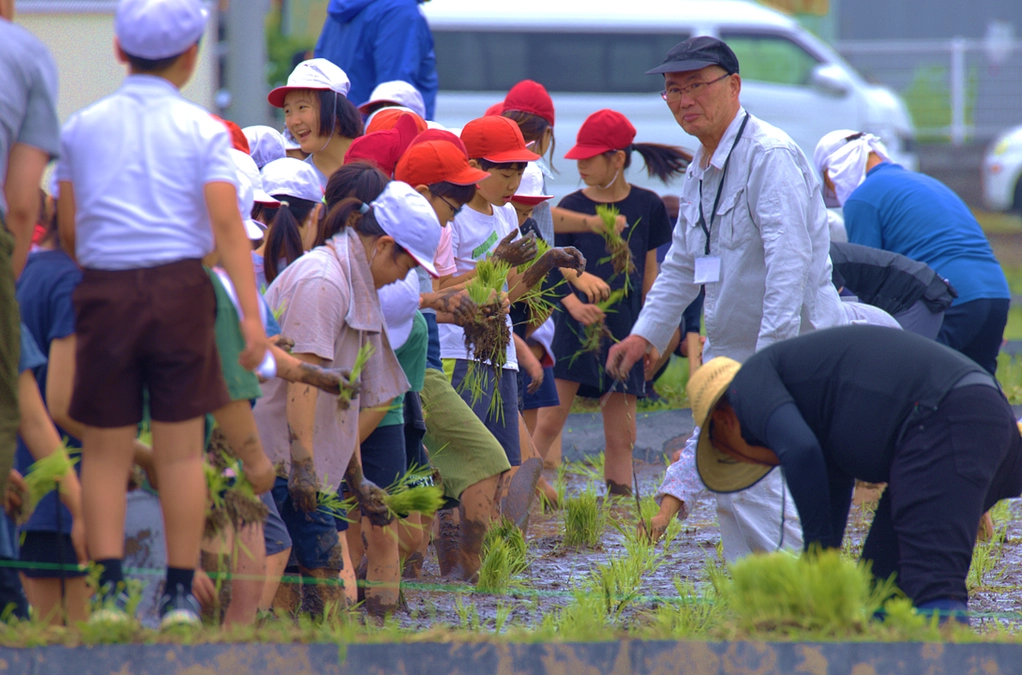【第2回 活動報告】＼田んぼに叫び声が響いた日！？ 田植え体験レポート🌱🦆／